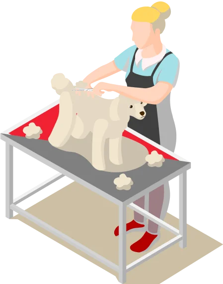 Pet Grooming