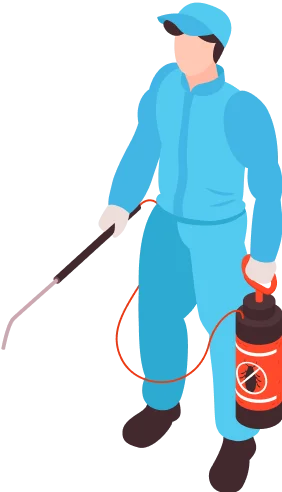 Pest Control Treatment